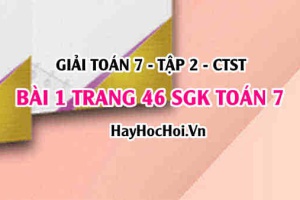Giải bài 1 trang 46 Toán 7 tập 2 SGK Chân trời sáng tạo